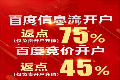 百度竞价SEM：成功案例解析与效果评估